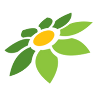 APK CANVA MOD